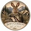 softcurrent